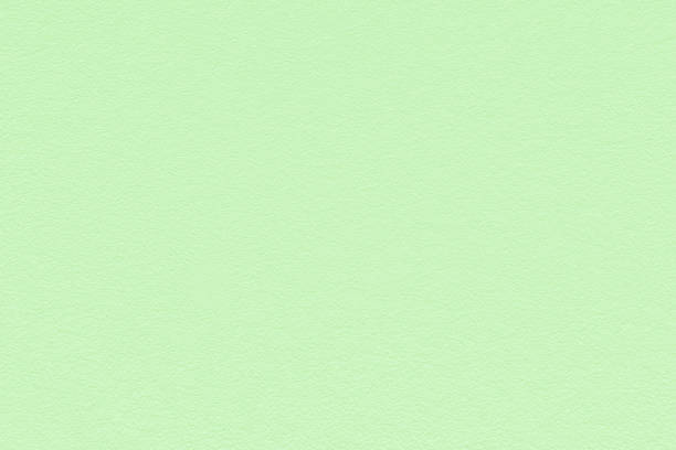 istock Soft light green color texture pattern abstract background can be use as wall paper screen saver brochure cover page for presentations background or article background also have copy space for text. 849282160