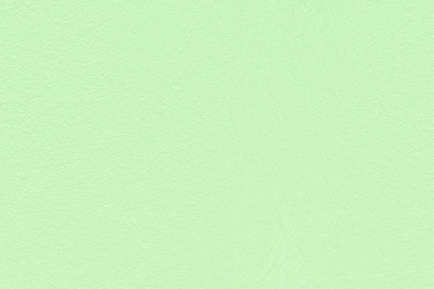 istock Soft light green color texture pattern abstract background can be use as wall paper screen saver brochure cover page for presentations background or article background also have copy space for text. 849282236