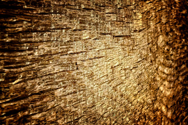 istock The old wood texture with natural patterns and cracks on the surface as background 849282746