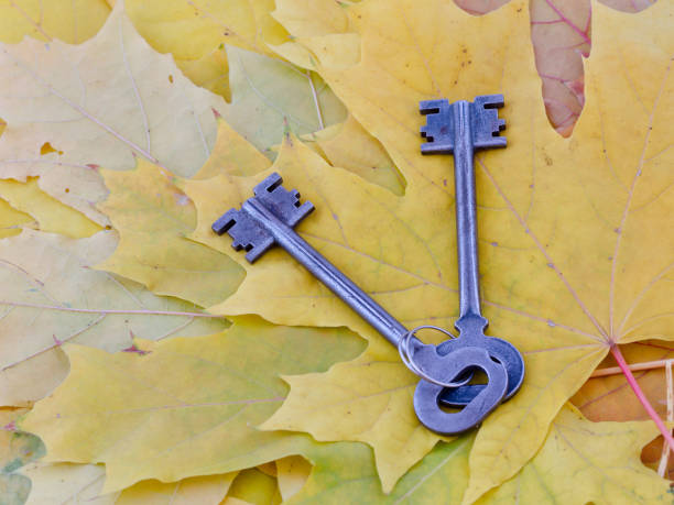 istock Ancient keys lie on yellow maple autumn leaves 849286476