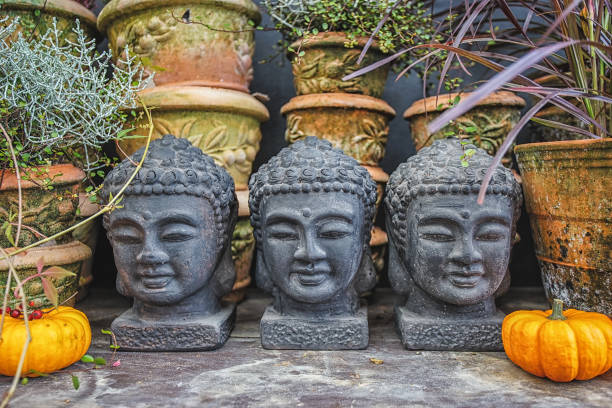 Stone head of Buddha in the ancient temple in Chiangmai, Thailand