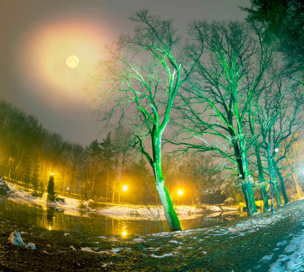 sleet and rain in winter park after sunset. By the light of lanterns and golden color cold sky between the branches of old trees on the background of the cold lake in the sad litany landscape