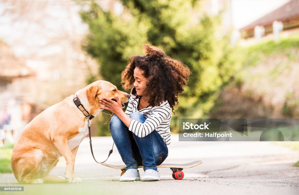 African american girl outdoors on skateboard with her dog. Beautiful african american girl with curly hair outdoors with her cute dog, sitting on skateboard. Dog Stock Photo