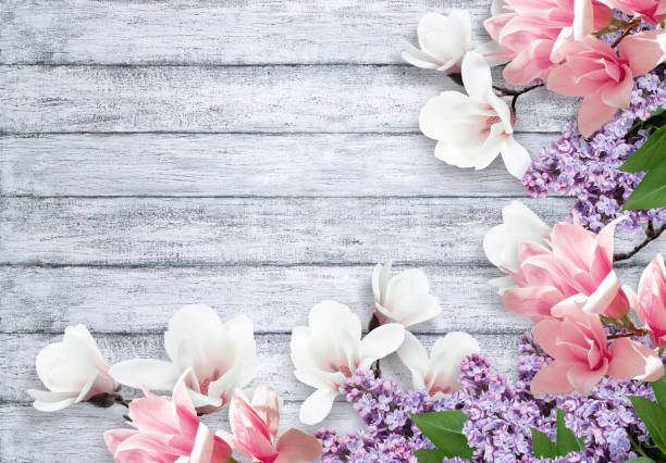 istock Magnolia and lilac flowers on shabby background 849301644