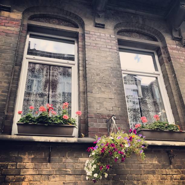 istock Windows decorated with flowers in Brussels, Belgium 849301660