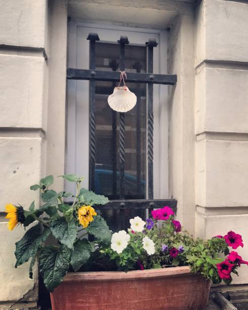 istock Windows decorated with flowers in Brussels, Belgium 849301670
