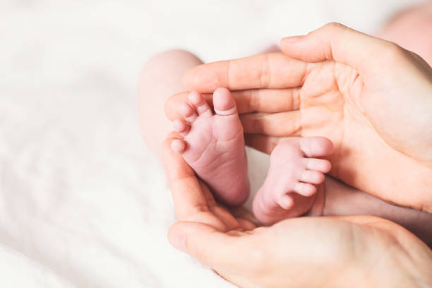 istock Close-up baby feet in mother hands. 849305732