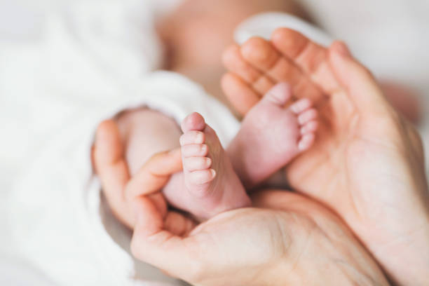 istock Close-up baby feet in mother hands. 849305742