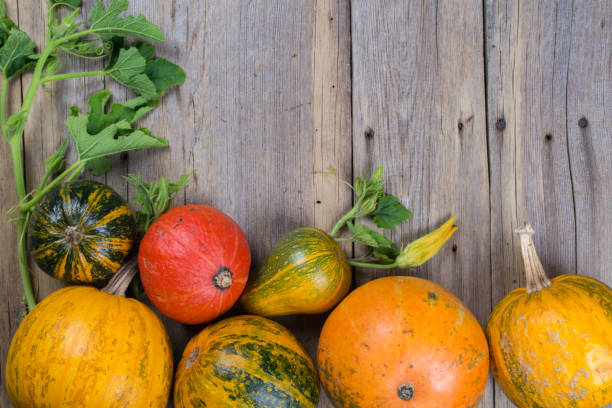 istock A frame of different pumpkins on an old wooden background, flat lay, top view 849306682