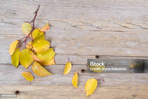 Herbst Blatt Auf Alten Rustikalen Boardfall Konzept Draufsicht Stockfoto und mehr Bilder von Alt