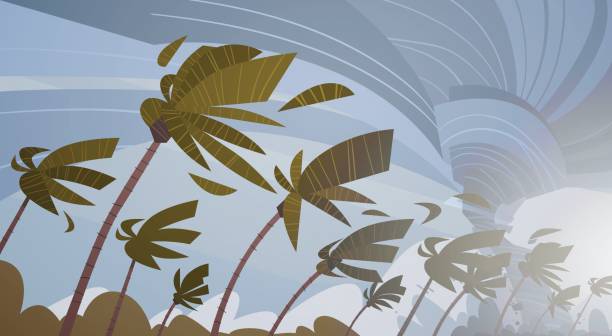 ヤシの木ハリケーン巨大な風嵐熱帯自然災害概念上空で旋回竜巻 - violent wind点のイラスト素材／クリップアート素材／マンガ素材／アイコン素材