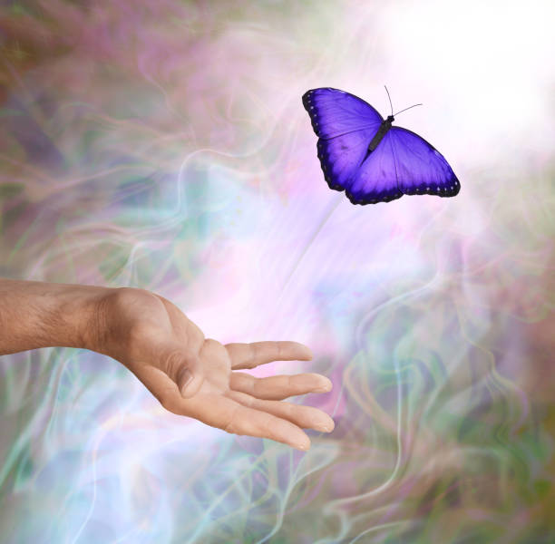 istock Purple Butterfly Symbolic Spiritual Release 849306904