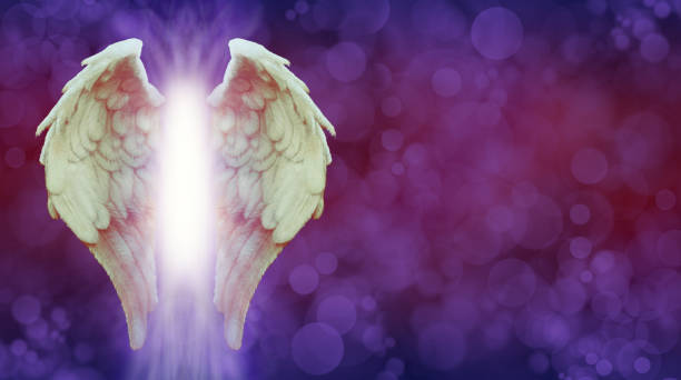 Young and wonderful blonde girl in the image of an angel with white wings.