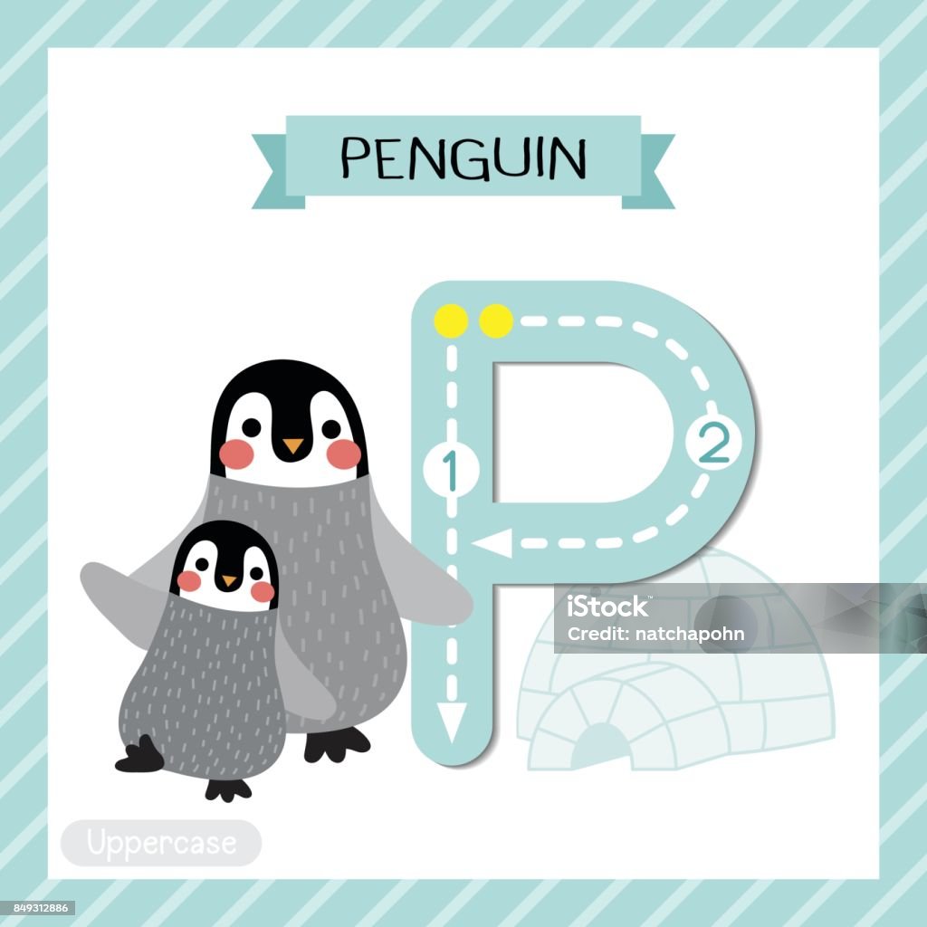 Chữ P Chữ Hoa Truy Tìm Chim Cánh Cụt Mẹ Và Con Hình minh họa Sẵn ...