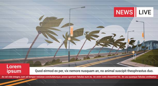 海の巨大な風のハリケーンについての海ニュースから竜巻着信のライブ放送ヤシの木と道路熱帯自然災害の概念を破壊します。 - violent wind点のイラスト素材／クリップアート素材／マンガ素材／アイコン素材