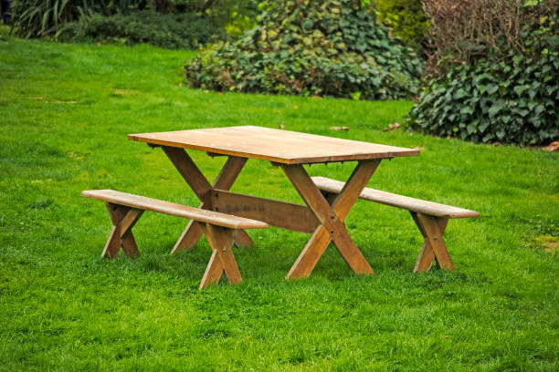 ピクニックテーブルに緑の牧草地 - ピクニックテーブル ストックフォトと画像
