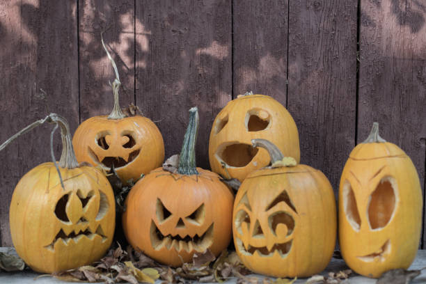 istock Halloween pumpkins with different emotions on wooden rustic background 849324742