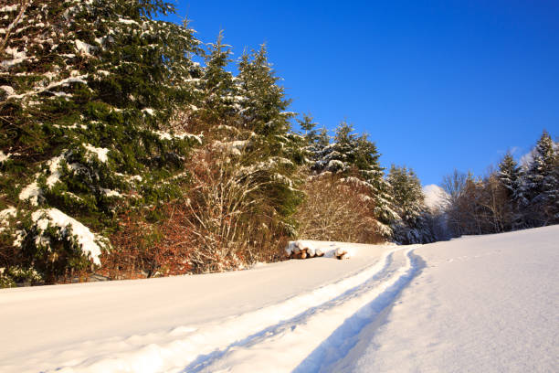 istock Winter landscape and road 849332534