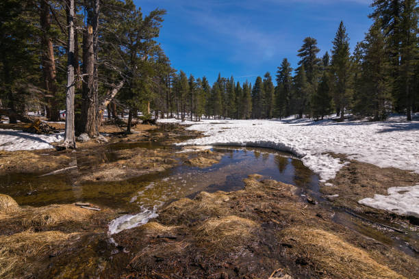 istock San Jacinto Mountain, Riverside County, California, USA 849335040
