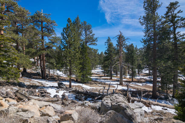 istock San Jacinto Mountain, Riverside County, California, USA 849335172