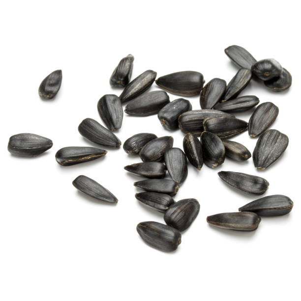 istock Sunflower seeds  isolated on white background close up 849337148