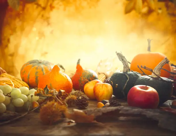 Autumn nature concept. Fall fruit and vegetables on wood. Thanksgiving dinner