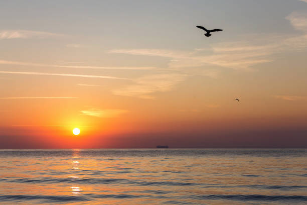 istock Summer sunrise at Black Sea 849342698