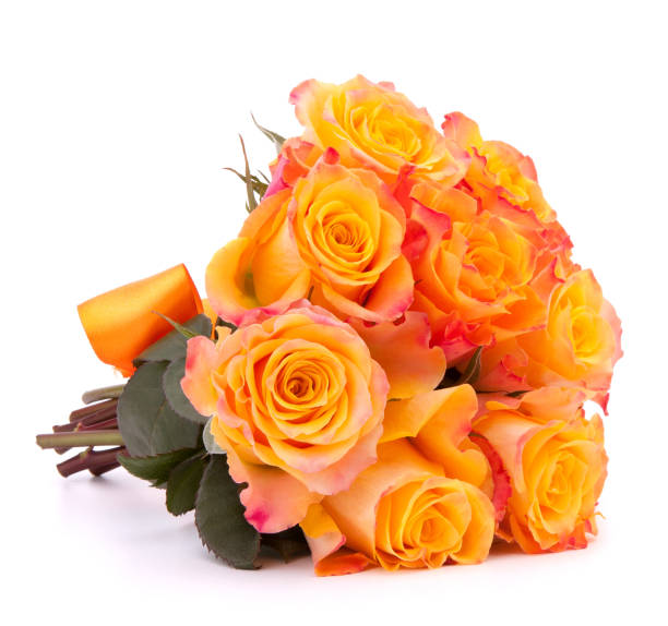 istock Yellow rose flower bouquet isolated on white background cutout 849345476