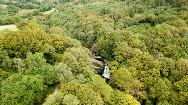 istock Aerial view of a waterfall in a tree filled valley 849354496