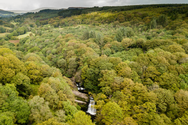 istock Aerial view of a waterfall in a tree filled valley 849354612