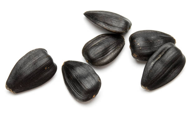 istock Sunflower seeds  isolated on white background close up 849359632