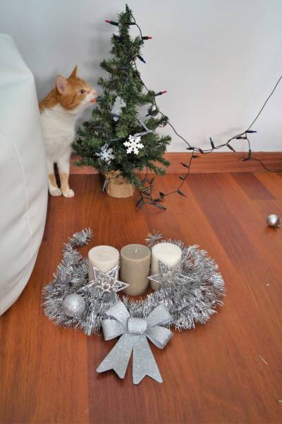 istock Christmas ornament and cat 849371426