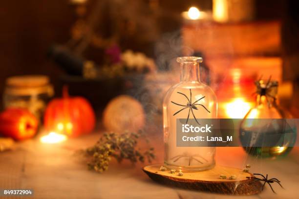 Halloween Holiday Concept Stock Photo - Download Image Now - Halloween, Spider, Home Decor