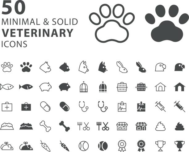 illustrations, cliparts, dessins animés et icônes de ensemble de 50 icônes vétérinaires minimales et solides, sur fond blanc - purebred cat illustrations