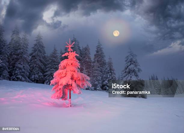 Winters Tale Stockfoto und mehr Bilder von Baum - Baum, Beleuchtet, Berg