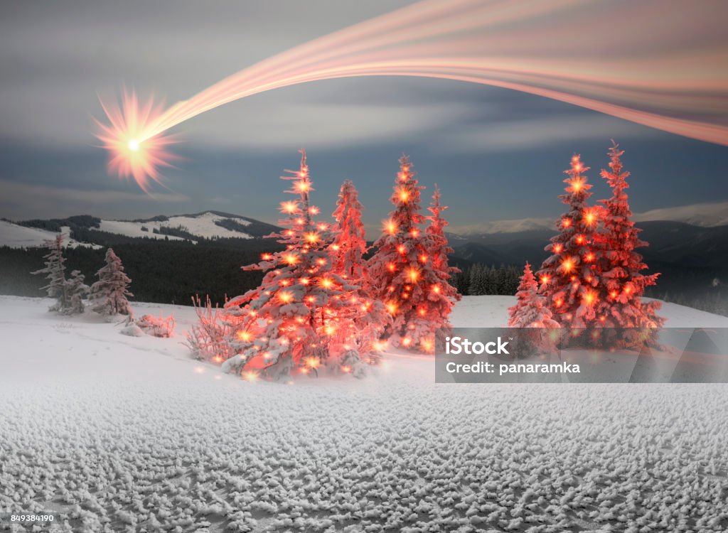 Winter's Tale - Lizenzfrei Baum Stock-Foto