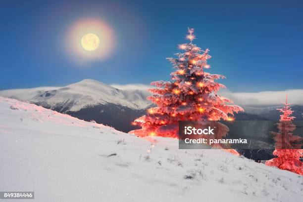 Winters Tale Stockfoto und mehr Bilder von Baum - Baum, Beleuchtet, Berg