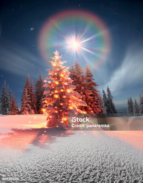 Winters Tale Stockfoto und mehr Bilder von Baum - Baum, Beleuchtet, Berg