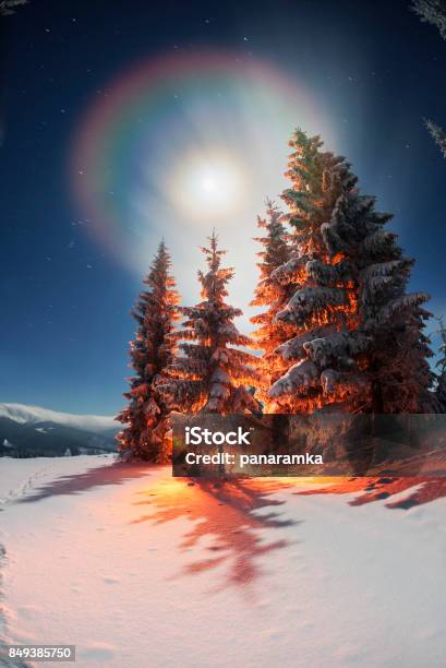 Winters Tale Stockfoto und mehr Bilder von Baum - Baum, Beleuchtet, Berg