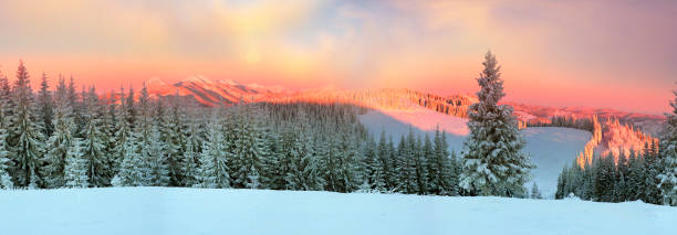 istock Ukrainian Carpathians snowy forest 849390790