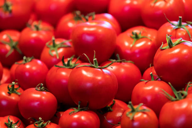 istock Background of many tomatoes 849391812