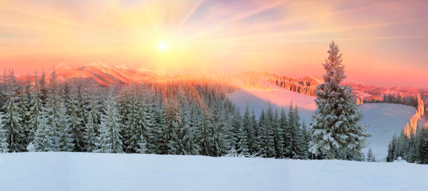 istock Ukrainian Carpathians snowy forest 849391902