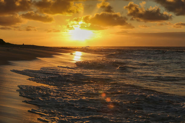 istock The golden dawn in the Hawaii 849394618