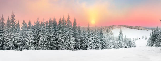 istock Ukrainian Carpathians snowy forest 849394904