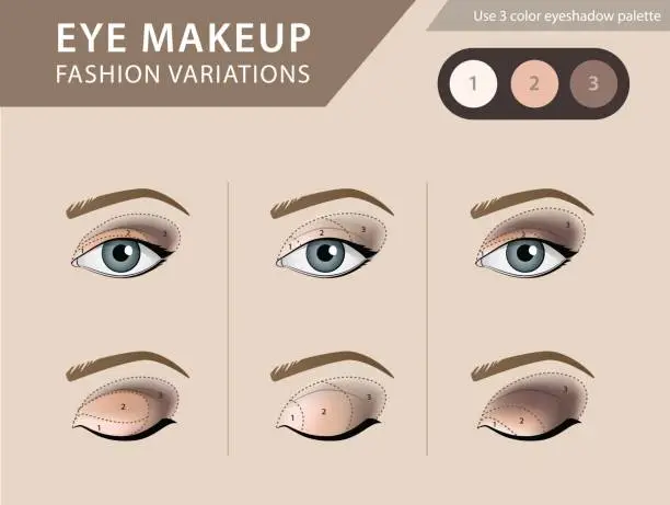 Vector illustration of Eye makeup tutorial, eyeshadow vector template