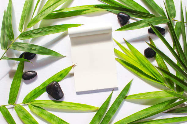 istock Green bamboo leaf background. White sketchbook page notebook mockup. 849399220