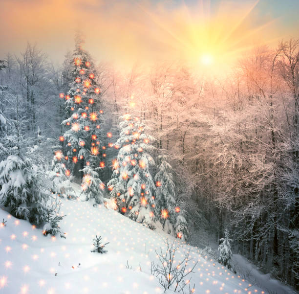 istock fog and frost in the Carpathians 849404324