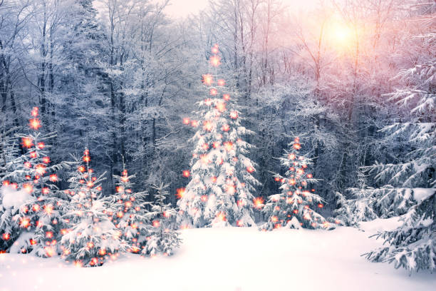 istock fog and frost in the Carpathians 849406504