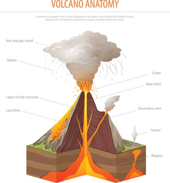 ilustraciones, imágenes clip art, dibujos animados e iconos de stock de sección de volcán, vector poster de educación - volcano