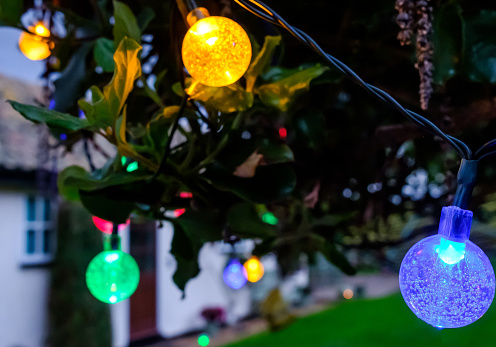 The string lights are powered by a small solar panel which is located, our of view, at the top of the shrub.